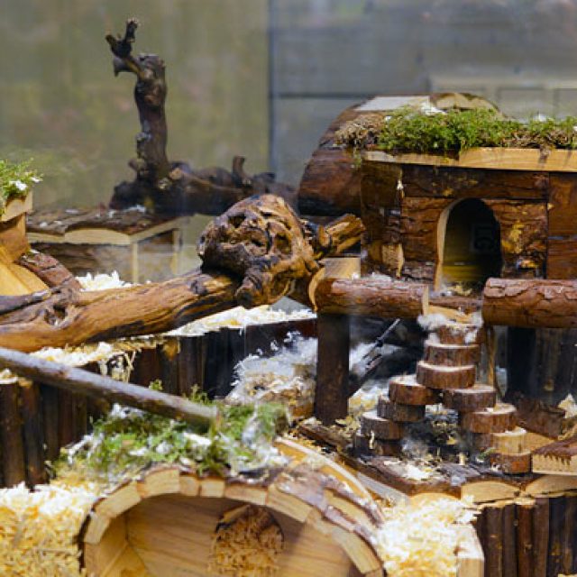 Nieuw in Nederland…..hamsterscaping