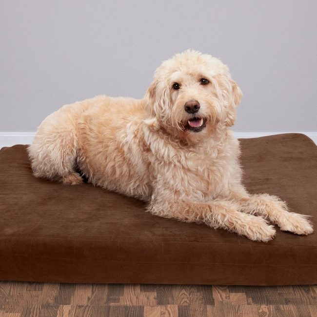 Orthopedische kussens voor honden