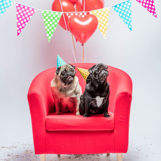 Winnaars snuffel 37 en 38