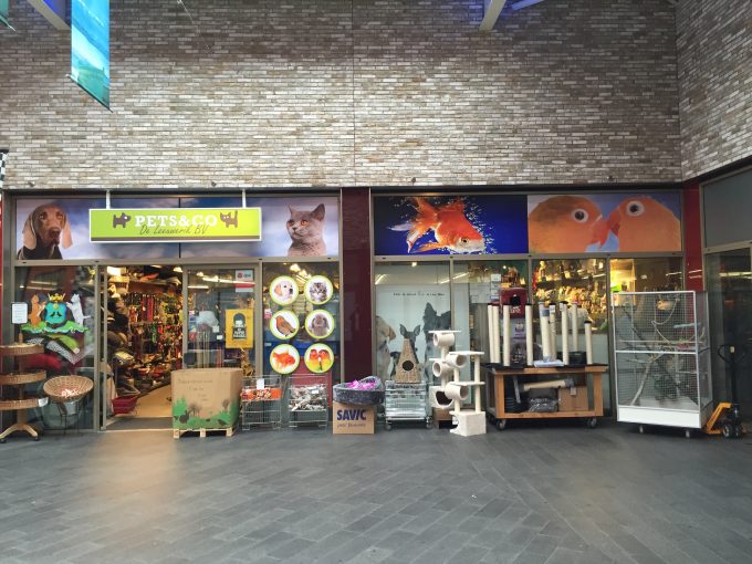 Pets&Co de Leeuwerik