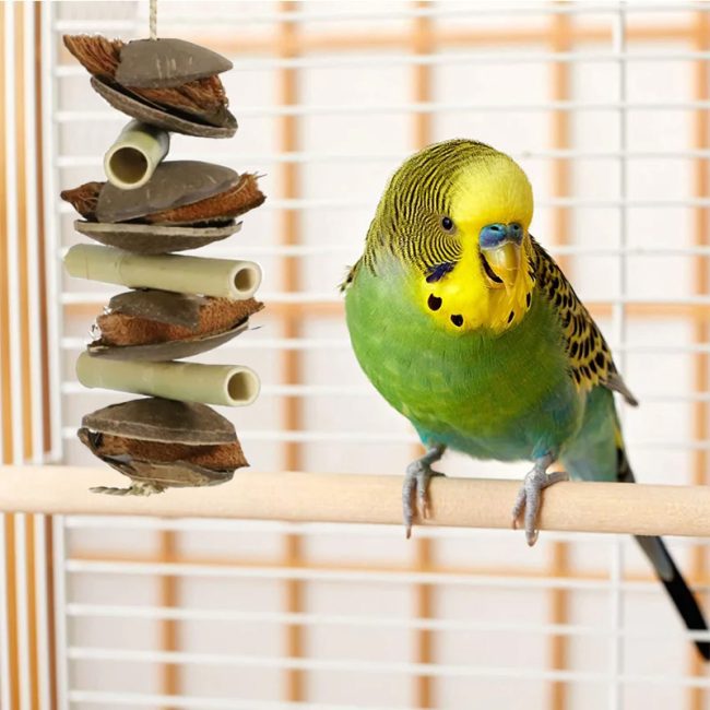 Mijn vogel sloopt alles