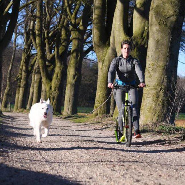 Fietsen met je hond..