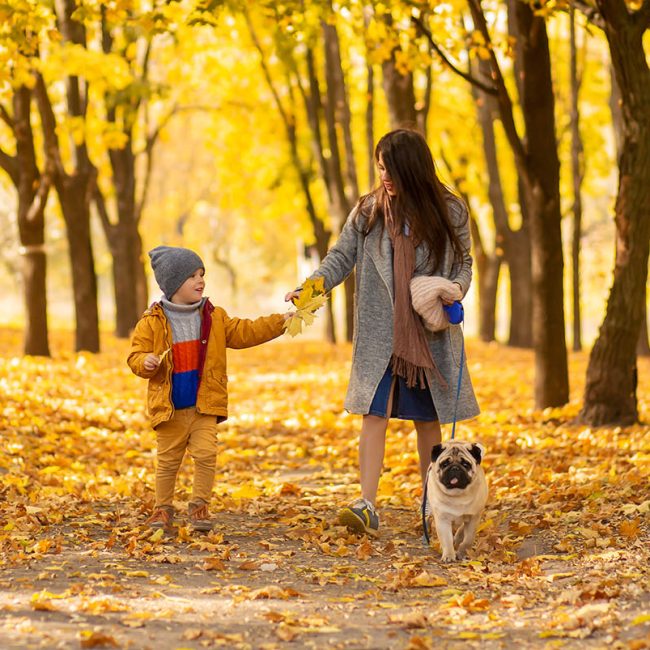 Let goed op bij een (bos)wandeling in de herfst