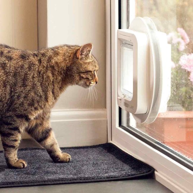 Het kattenluikje en de kat